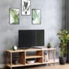 Vielseitiges TV-Regal in 4 Farben