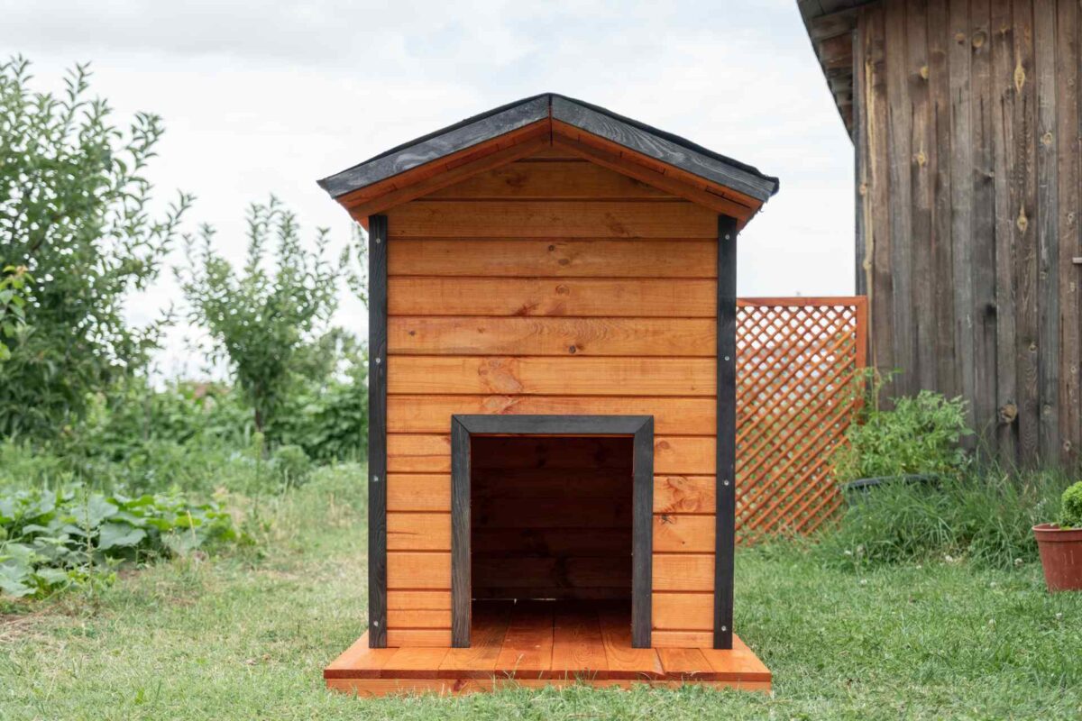 Hundehütte – Bild 3